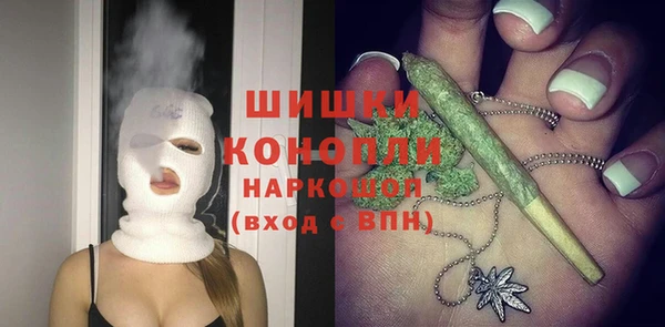 СК Козельск