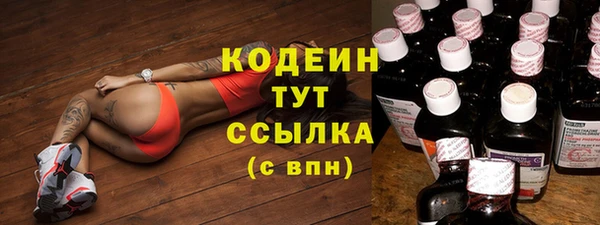 молекула духа Кодинск