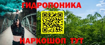 гашик Малгобек