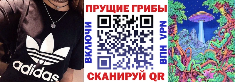 наркота  Тосно  Галлюциногенные грибы мухоморы 