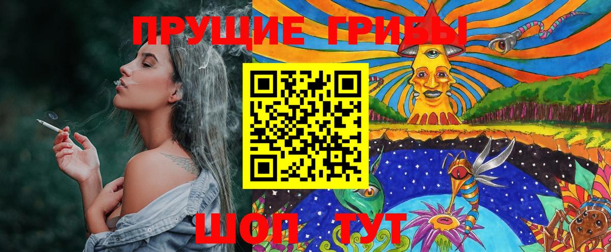 Тосно  Псилоцибиновые грибы Magic Shrooms  Вход с VPN 
